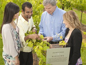 Jacob's Creek Vineyard Tour - Broome Tourism 0