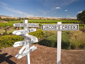 Jacob's Creek Vineyard Tour - Broome Tourism 1