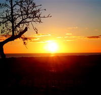 Rocky Ridge Vineyard and Cellar Door - Broome Tourism