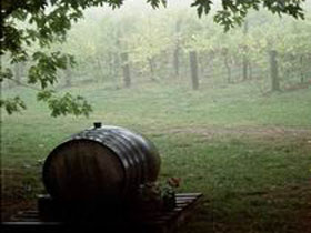 Arranmore Wines - Broome Tourism 2