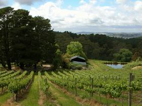 Arranmore Wines - Broome Tourism 0