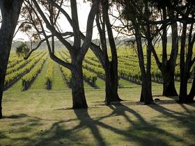 Henry's Drive Vignerons - Broome Tourism 0