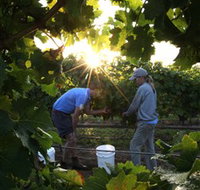 Oakdene Vineyards Restaurant and Cellar Door - Broome Tourism