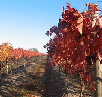 Kooyonga Creek Wines - Broome Tourism