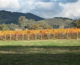 Kooyonga Creek Wines - Broome Tourism 4