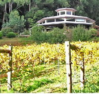 Peveril Vineyard/Beechy Berries - Broome Tourism