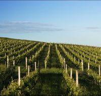 Delamere Vineyard - Broome Tourism