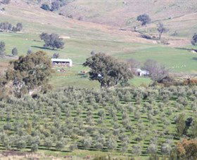 Wymah Organic Olives And Lambs - Broome Tourism 0