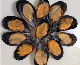 Advance Mussel Supply - Broome Tourism 3