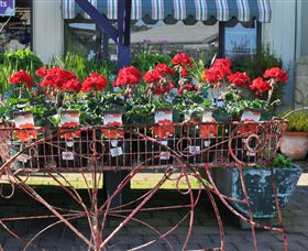 Van Loon's Nursery - Broome Tourism 0