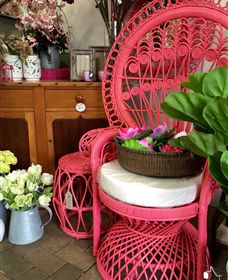 Van Loon's Nursery - Broome Tourism 3