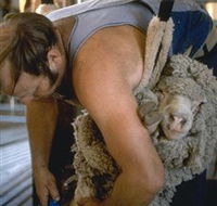 Kuriong Sheep Station - Broome Tourism