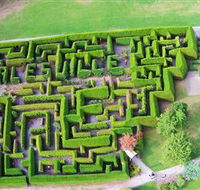 Hedgend Maze and Healesville Laser Sport - Broome Tourism