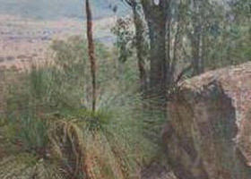 Burrowye VIC Broome Tourism