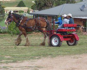 Bathurst Farm Experience - Broome Tourism 3
