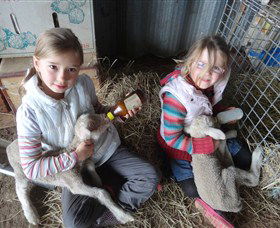 Bathurst Farm Experience - Broome Tourism 4