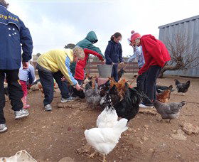 Bathurst Farm Experience - Broome Tourism 2