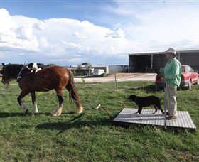 Bathurst Farm Experience - Broome Tourism 6