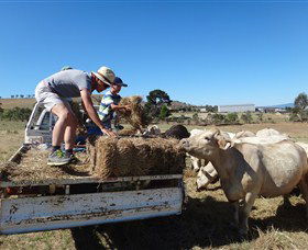 Bathurst Farm Experience - Broome Tourism 5