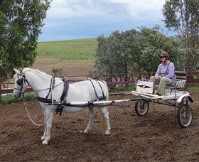 Bathurst Farm Experience - Broome Tourism 8