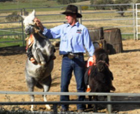 Boggy Creek Shows - Broome Tourism 2