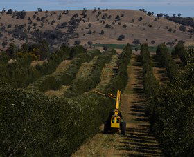 Rylstone Olive Press - Broome Tourism 2