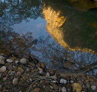 Abercrombie Karst Conservation Reserve - Broome Tourism