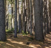 Sugarpine Walk - Broome Tourism