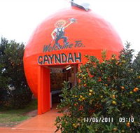 Gayndahs Big Orange - Broome Tourism