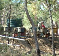 7 Oaks Sapphire Fossicking - Broome Tourism