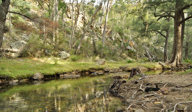 Glen Alice NSW Broome Tourism