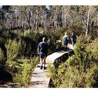 Hume and Hovell Walking Track - Henry Angel Trackhead - Broome Tourism