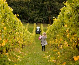 Polperro Winery - Broome Tourism 7