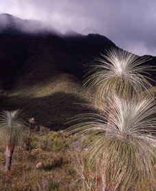 Bluff Knoll, Stirling Range National Park - Broome Tourism 3