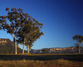 Capertee Valley Bird Trail - Broome Tourism 0
