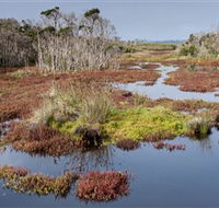 French Island National Park - Broome Tourism