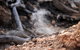Burning Mountain Nature Reserve - thumb 1