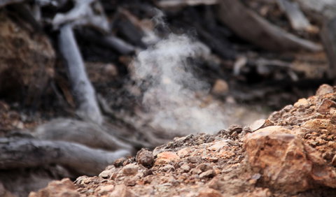Burning Mountain Nature Reserve - Broome Tourism 1