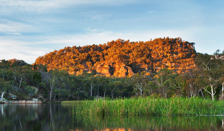 Wirraba NSW Broome Tourism