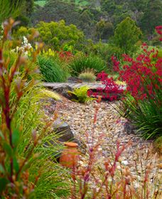 Ungulla Country Garden - Broome Tourism 1