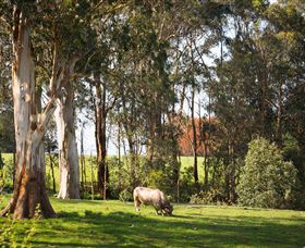 Ungulla Country Garden - Broome Tourism 8