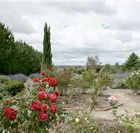 Crystal Brook Lavender Farm - Broome Tourism