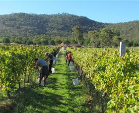 Savina Lane Premum Wines - Broome Tourism 1