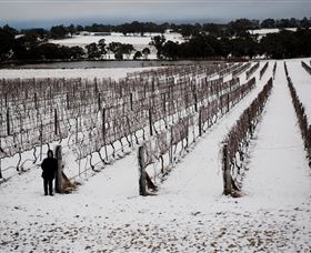 Savina Lane Premum Wines - Broome Tourism 2