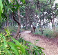 Mount Mutton Walking Trail - Broome Tourism