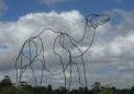 Defiance Gallery II - Paddington - Broome Tourism 3