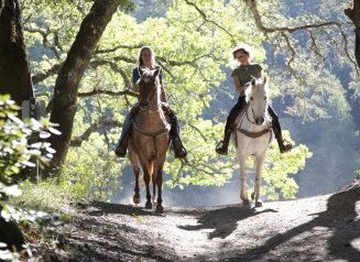 Hunter Valley Horse Riding And Adventures - Broome Tourism 1