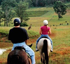 Hunter Valley Horse Riding And Adventures - Broome Tourism 3
