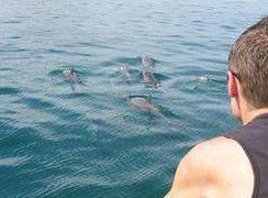 Tex Tours - Broome Tourism 3