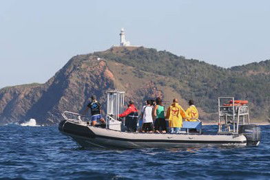 Byron Bay Dolphin Wildlife Tours - Broome Tourism 1